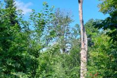 20220626_110542-Kopie